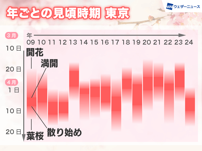 ※さくら※ 8月14日頃発送予定 今年の桜の見頃時期は過去10年で最も遅い 昨年との差が拡大