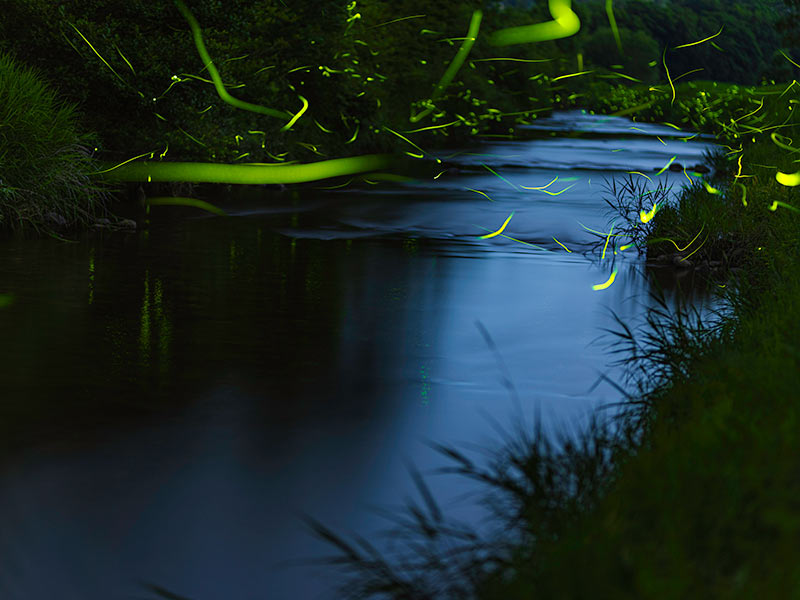 水無月 ほたる パネル 月島ほたるさん SHEIN広告モデル (^_-)-☆ | しまちゃんのブログ