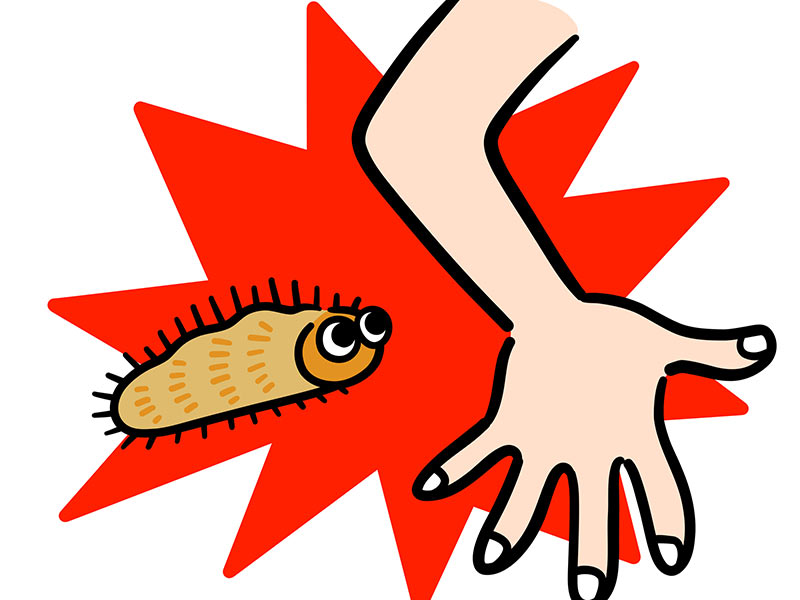 刺されたらどうする？ 5〜6月に気をつけたい毛虫の正体 - ウェザーニュース