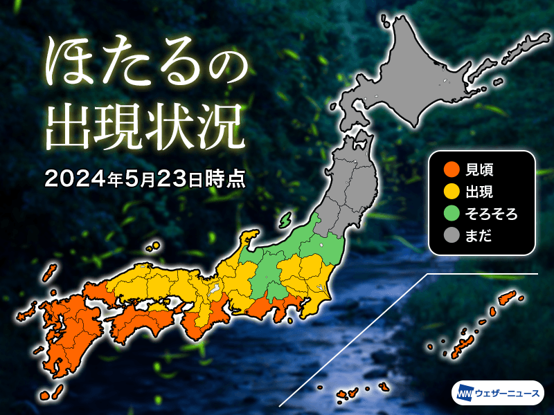 九州で蛍の出現ピークを迎える 関東から近畿も間もなく見ごろに
