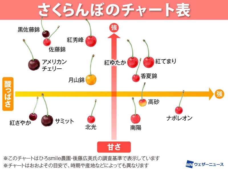 今が旬！ 好みの品種がすぐ分かる、“さくらんぼチャート” - ウェザー
