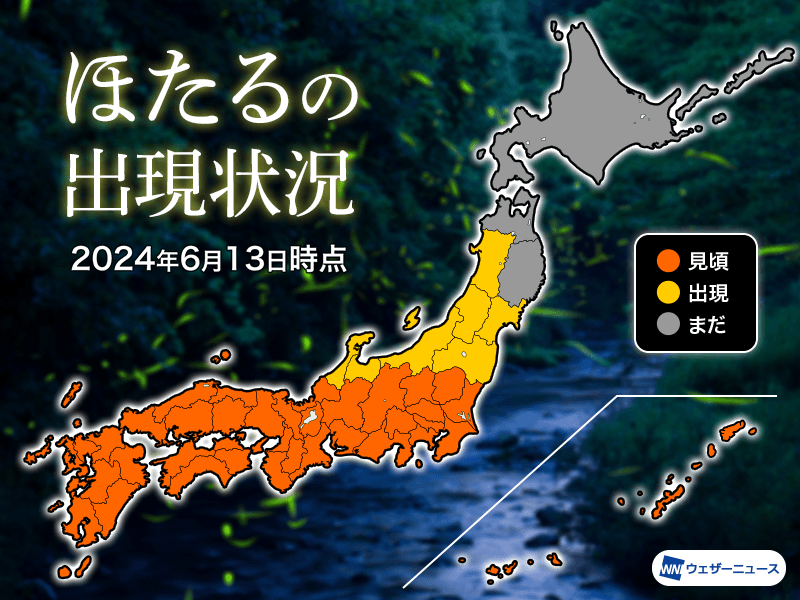 202406130145_top_img_A.png?