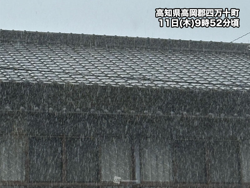 雨上がり 西日本太平洋側で激しい雨に 東海や関東も午後は要注意 - ウェザーニュース