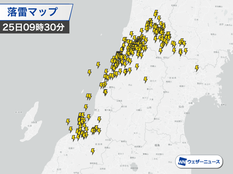 雷雨さま専用ページ GCP20250921DP_all_s.png?v=