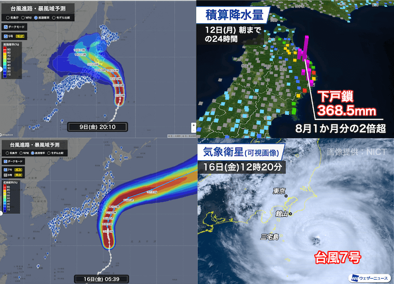 Hammo 台風山葵5.6 Hammo 台風山葵5.6 Hammo/ typhoon wasabi (台風