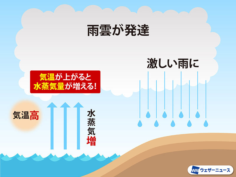 Ree(時雨まとめ) 北海道で1時間に124mmの猛烈な雨 記録的短時間大雨情報 - ウェザーニュース