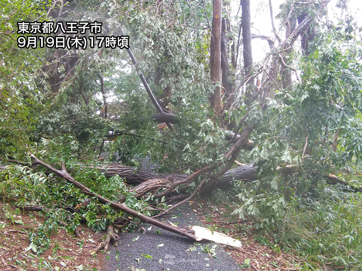 関東で局地的に激しい雷雨 東京・八王子では突風や雹の被害 - ウェザー