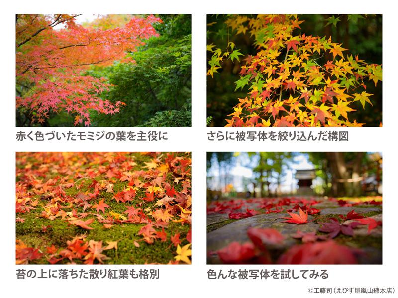 京都・嵐山の人力車夫が教える、簡単に紅葉を美しく撮れる5つの