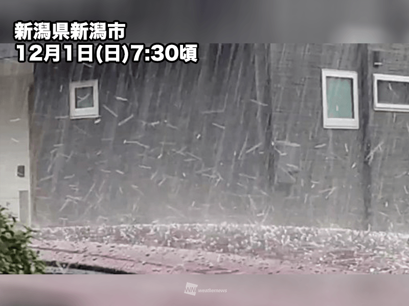 日本海側は雨や雪 一時的な強まりに注意 - ウェザーニュース