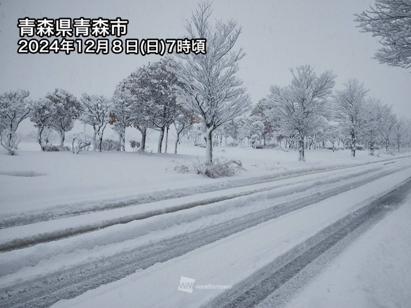 寒波襲来 北日本日本海側や信越地方は大雪に警戒 - ウェザーニュース