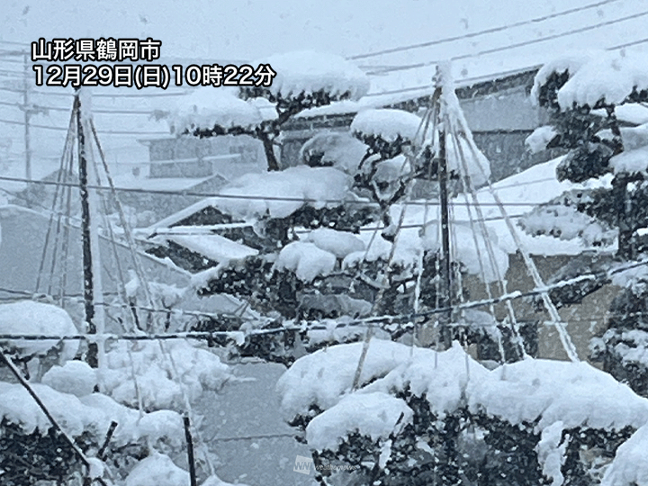 日本海側の強い雪は今日も続く 交通障害や落雪などに注意を - ウェザー