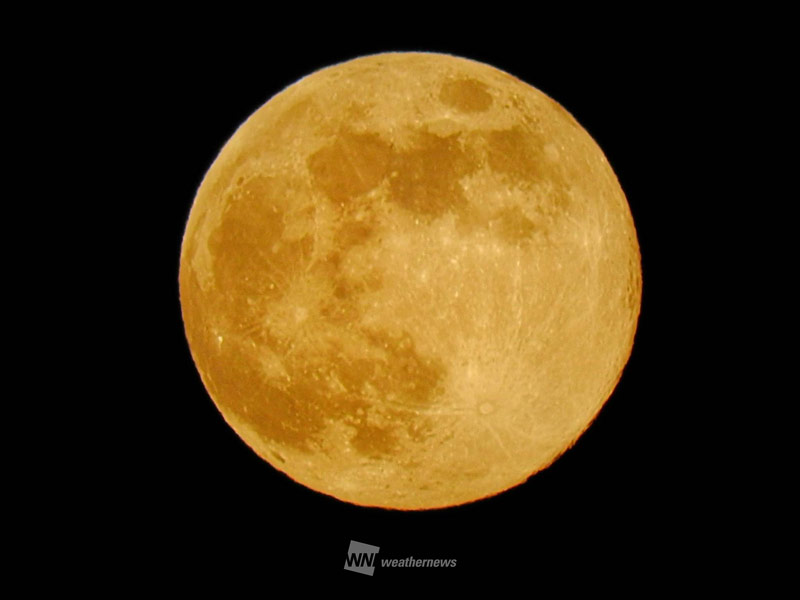 今夜、満月と火星が接近 1月の満月は別名「ウルフムーン」とも