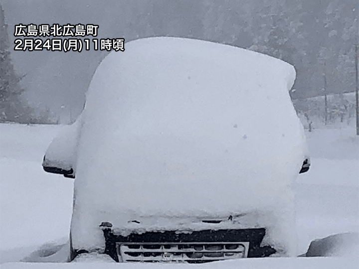 202502240115_top_img_A.png?