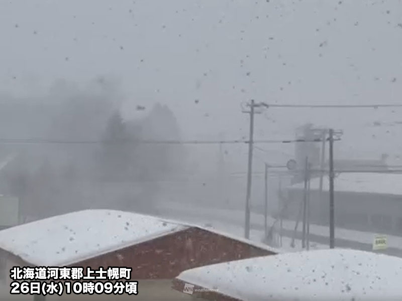 北海道は突然の吹雪 視界不良に注意 - ウェザーニュース
