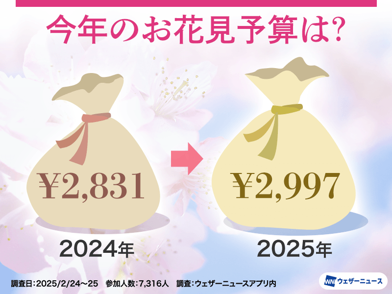 桜お花見調査 予算は過去7年で最高額 石川や富山は500円前後が