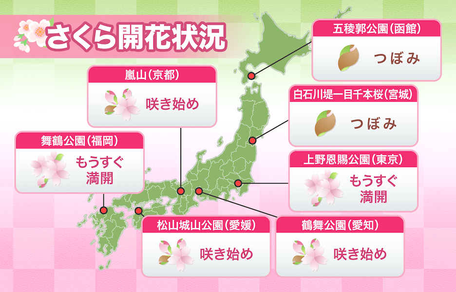 今日の桜開花状況 3月28日(金) 福岡など3地点で桜満開 開花は6日間で33