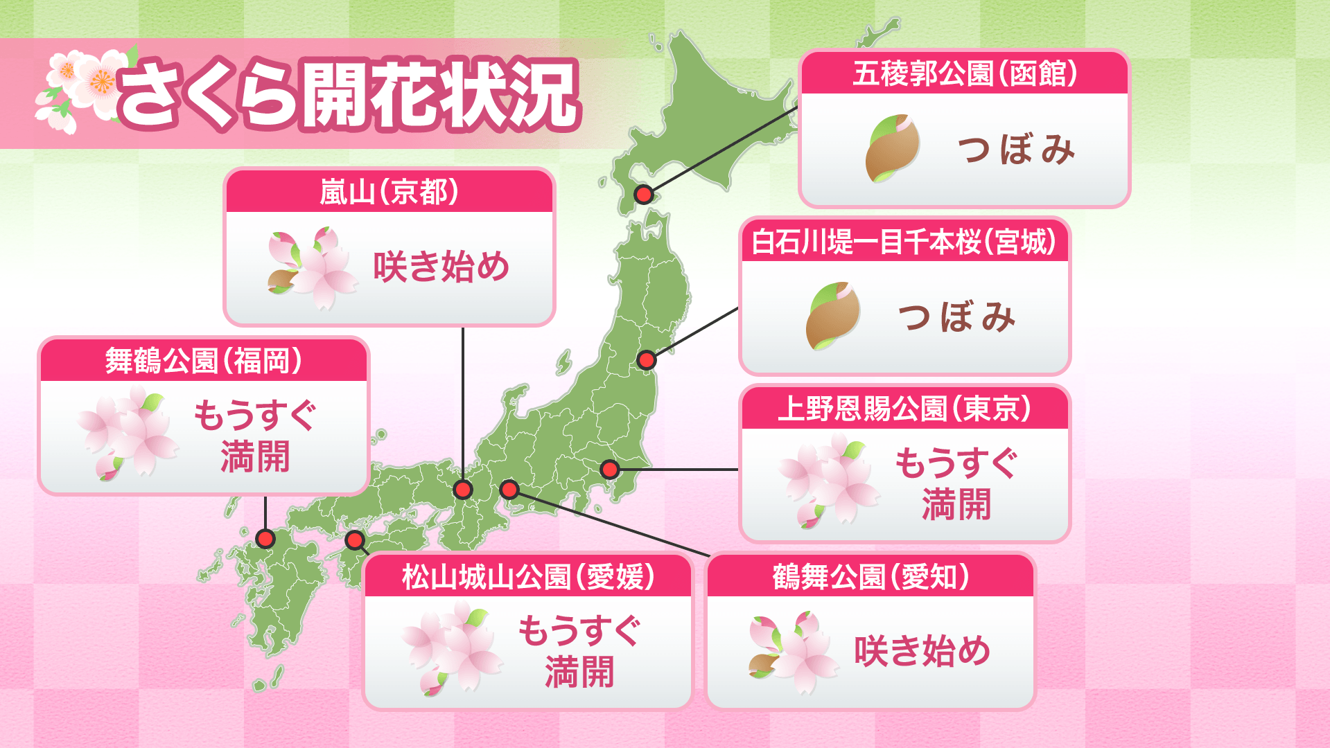 今日の桜開花状況 3月29日(土) 金沢で桜開花 開花は7日間で34