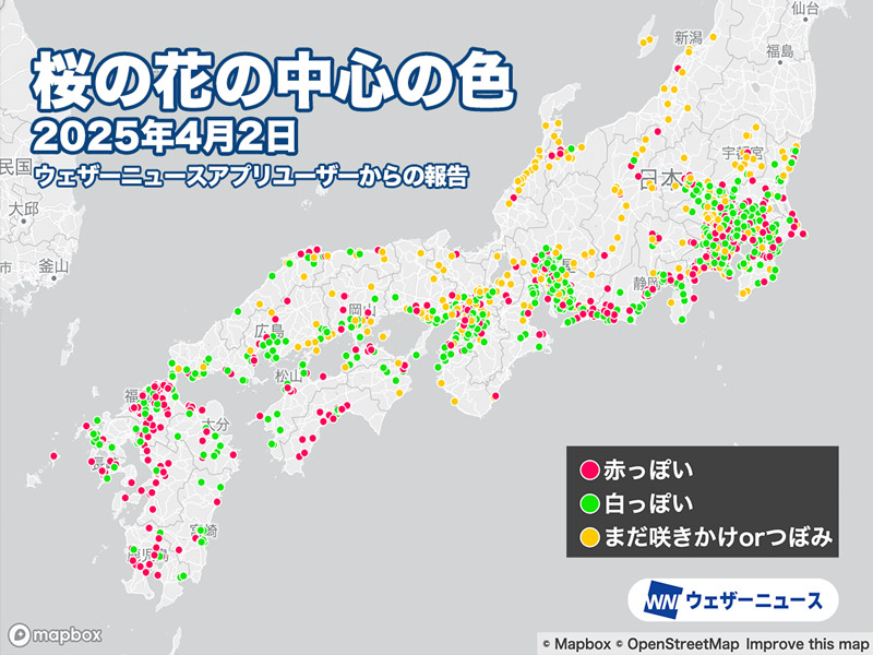桜（ソメイヨシノ）の見頃と散り始めのサイン - ウェザーニュース