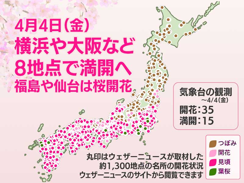 ※さくら※ 8月14日頃発送予定 2025年 第一回「さくら開花予想」ウェザーマップ発表 ～関東から