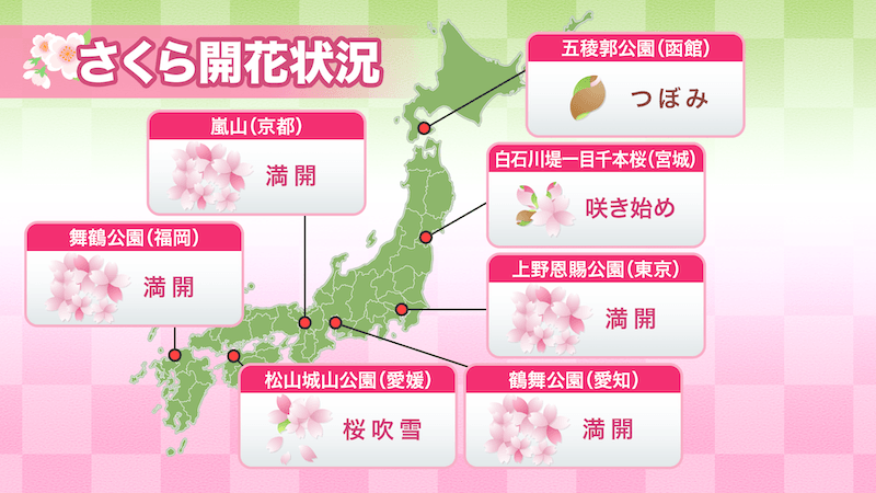 今日の桜開花状況 4月5日(土) 京都や岡山で満開 中国地方がついに満開
