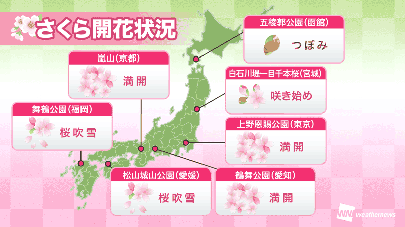 今日の桜開花状況 4月7日(月) 銚子や前橋など4地点で桜が満開に