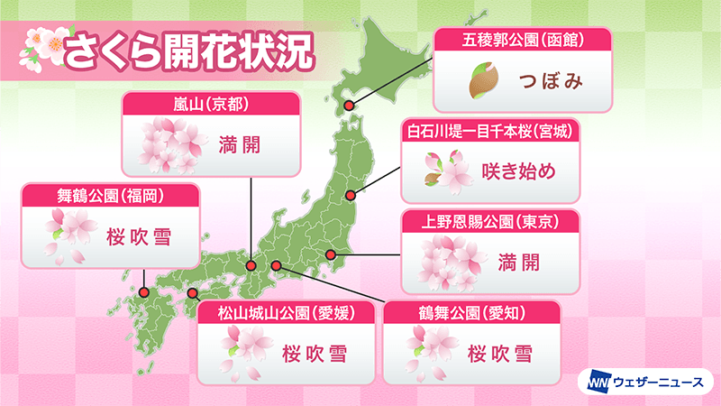 今日の桜開花状況 4月8日(火) 長野で開花 水戸と福島で満開発表