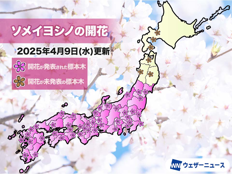 蓮香　8月1日予定分 鹿児島・桜島で未明に1時間ほど連続噴火 大隅地方に降灰の影響