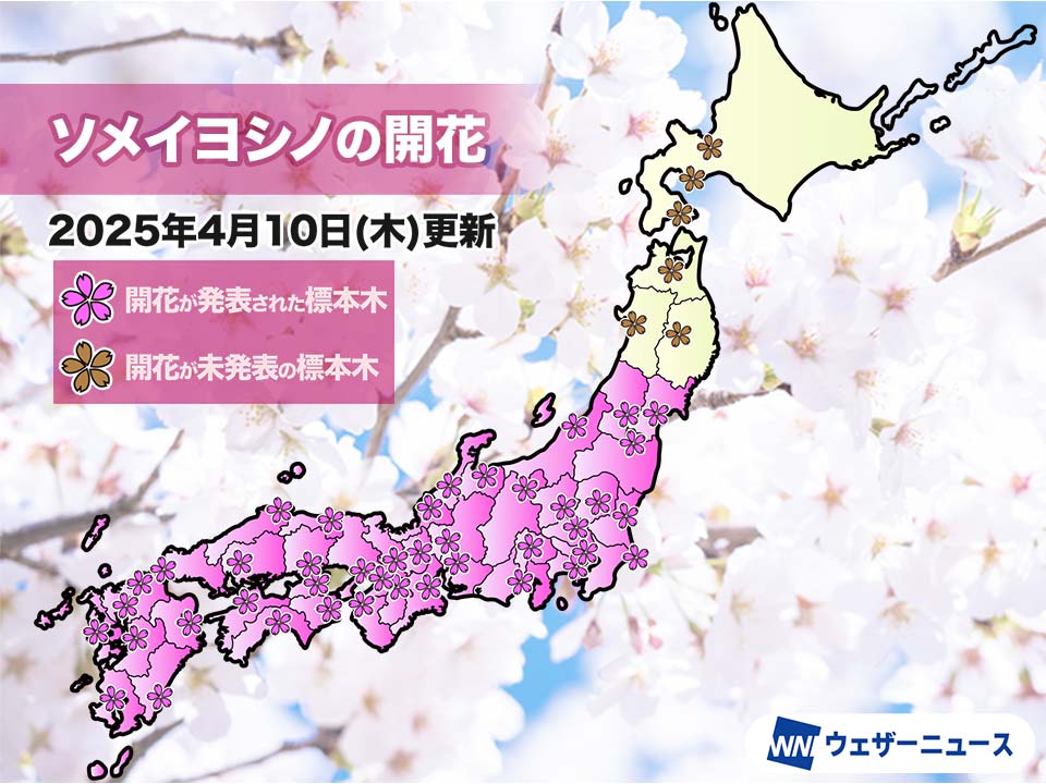 桜様ご確認ページ Amazon.co.jp: ゼクス Z/X E47-068 鳳雛§継承 黒崎春日 (RR