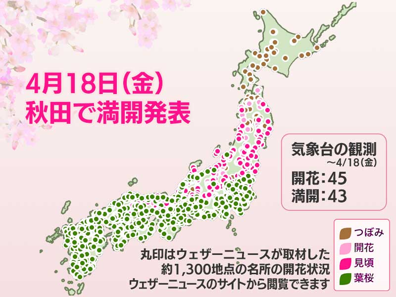 まむ（次回は７月２３日に発送予定） 至急です。Qoo10で3月12日以内に発送と書いてありました。家には