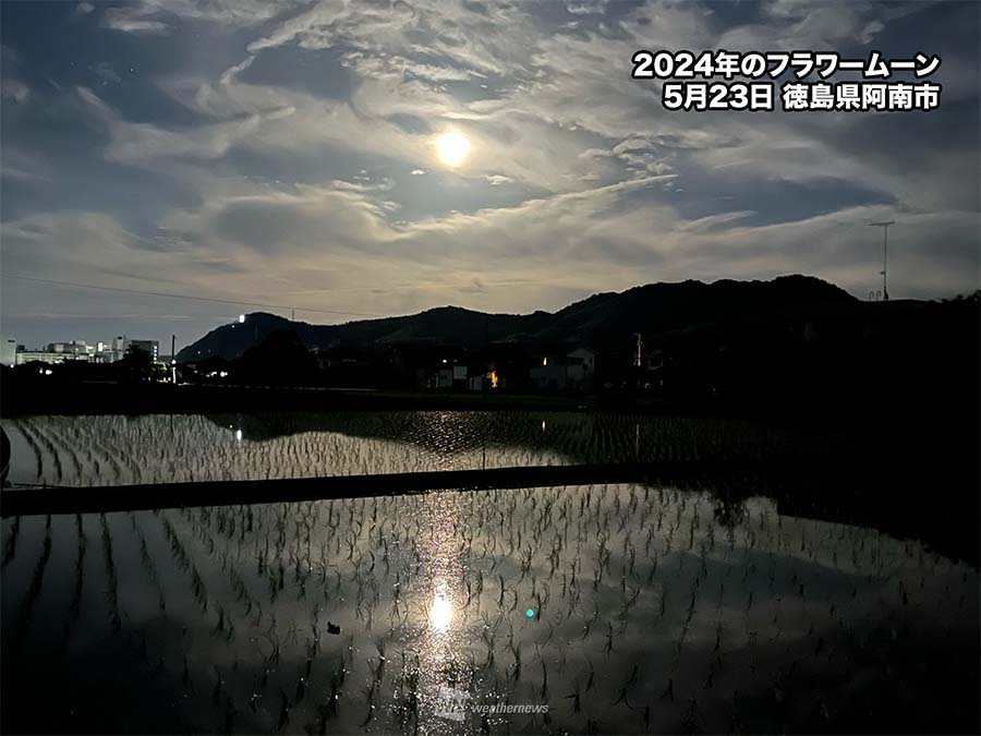 風水開運　波動アート＊月華〜宇宙光花〜満月 　フラワームーン　エネルギー花　満開 風水開運 波動アート＊月華〜宇宙光花〜満月 フラワームーン