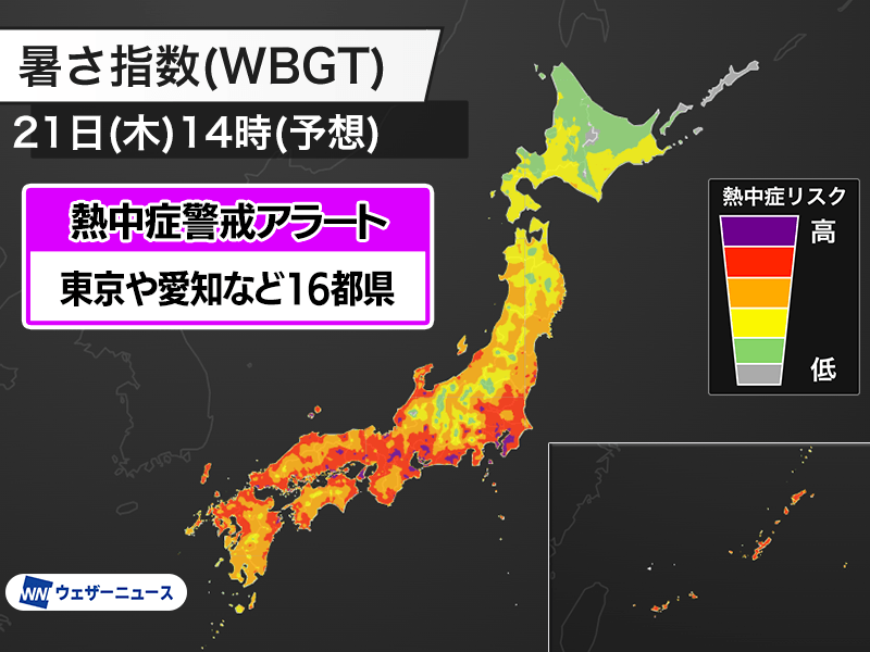 【早い者勝ち】湿地の干潟 スペシャルゲスト 日本語2枚 タルキール ボーダーレス 新潟県×アルビレックス新潟】ゲートキーパー普及啓発ポスターに