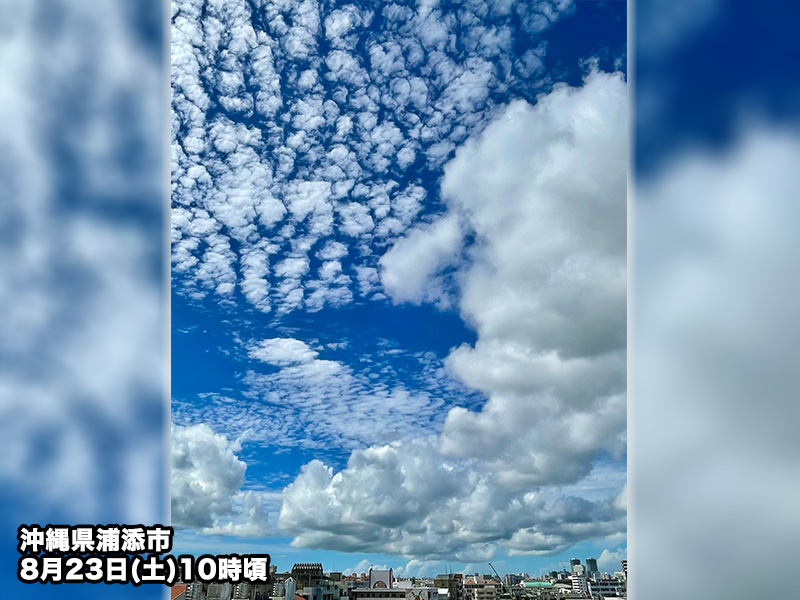 ひつじ雲Ꮚ・ェ・Ꮚ 東京など関東の空を賑わす雲 ひつじ雲やナミナミとした波状雲