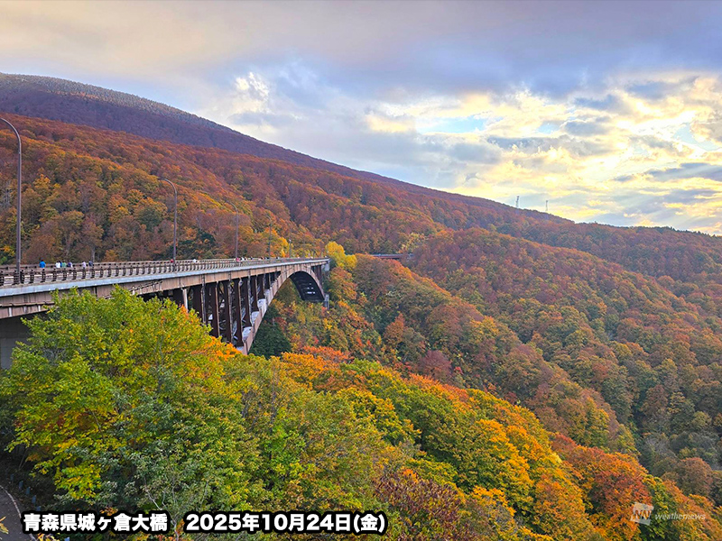 明日10月25日(土)の天気予報 西日本や東日本は広く雨 北海道は
