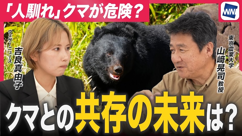 きままな熊 sddefault.jpg