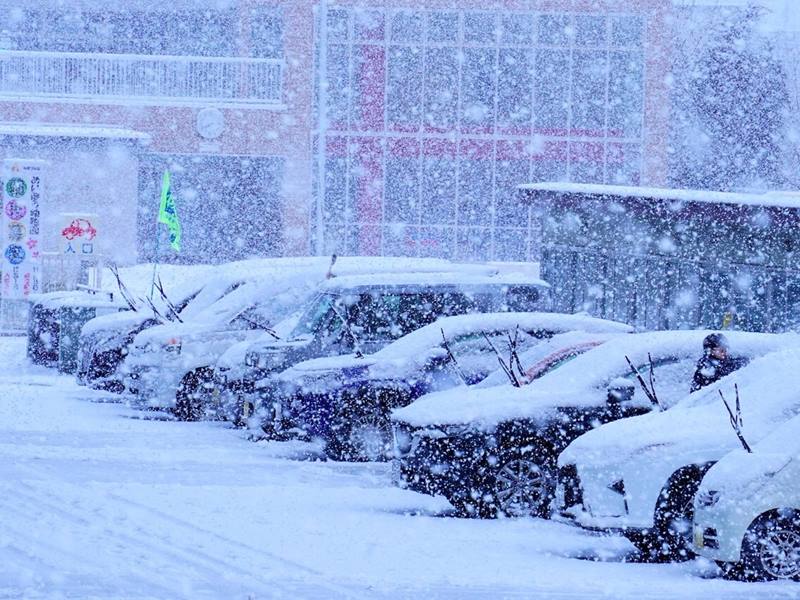 ウェザーニュースPro 大雪コンテンツの使い方ガイド - ウェザーニュース