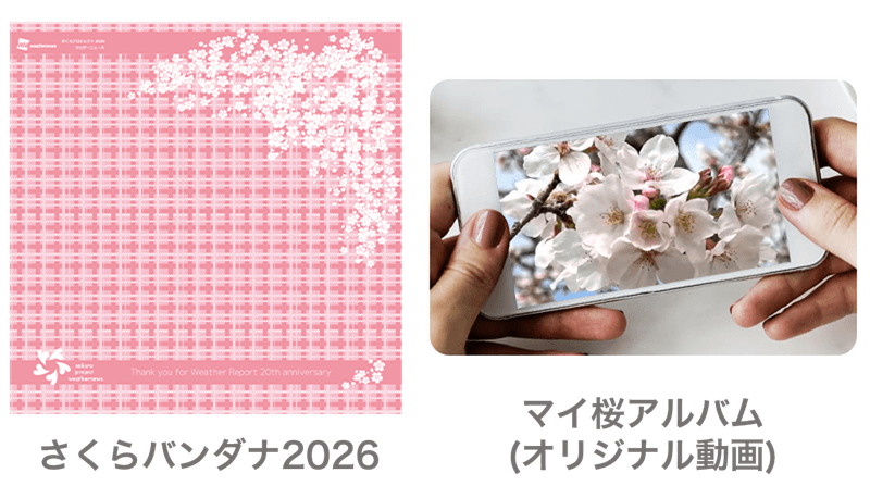 一本の桜を見守る「さくらプロジェクト」とは？ - ウェザーニュース