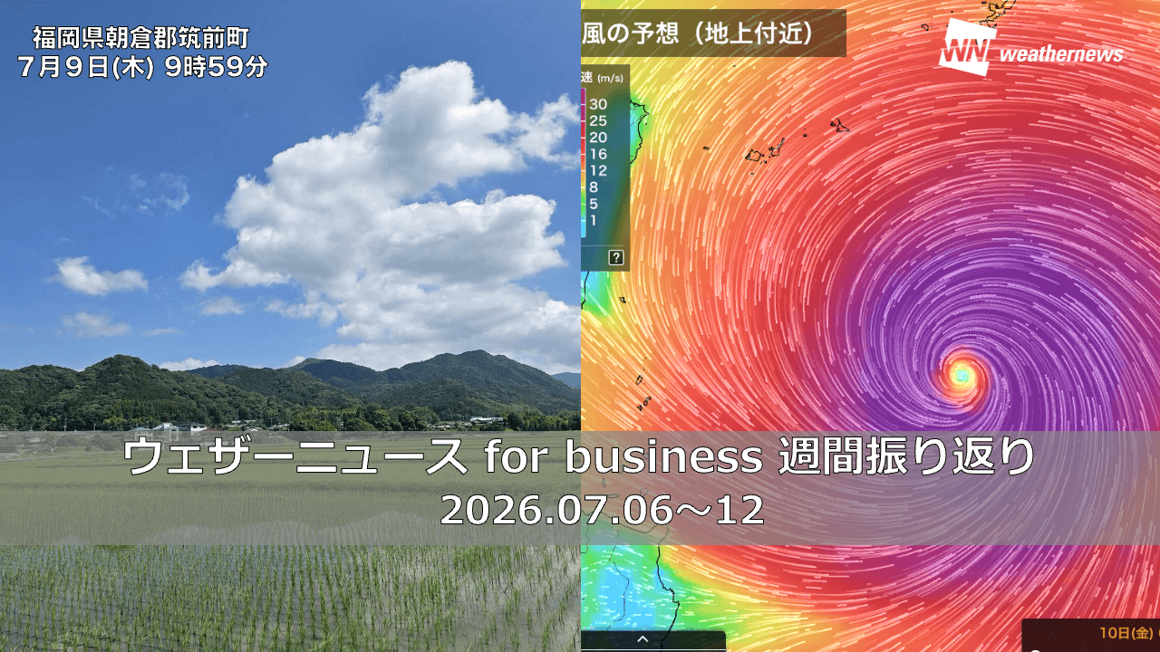 大型台風と夏本番の幕開け】ウェザーニュース for business 振り返り