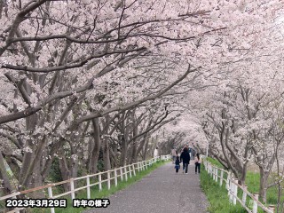 202403130245_top_img_A_320x240