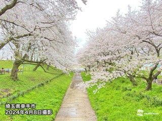 202404130085_top_img_A_320x240