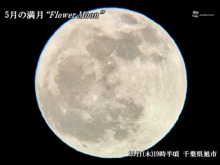 202405230175_top_img_A_320x240