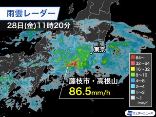 レノックス 5月の雨 000000001257-01-l.jpg?t=