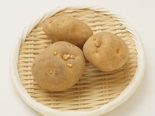 202410170185_top_img_A_320x240