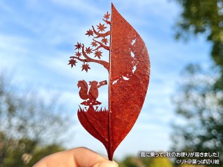 切り絵 女性と紅葉 202411010185_top_img_A_320x240