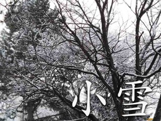 二十四節気「小雪」 冬の到来を静かに告げる - ウェザーニュース