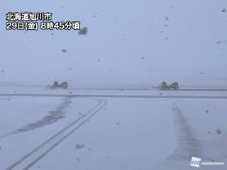 北海道の雪 タイヤ交換が間に合わず、