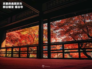 故郷の秋 十朱幸代 = Yukiyo Toake – 風の盆 ～忘れかけていた故郷の心