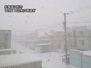 北海道で局地的に強い雪 3時間で20cm近い積雪増加 - ウェザーニュース