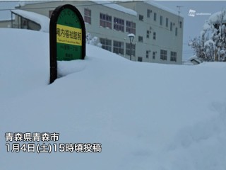 202501040175_top_img_A_320x240