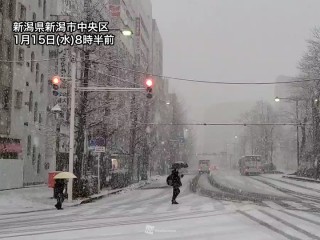 新潟市内は雪に変わり積雪急増 そのほかの北陸市街地も今夜は雪