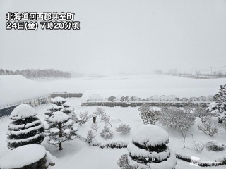 北海道の雪 202501240085_top_img_A_320x240
